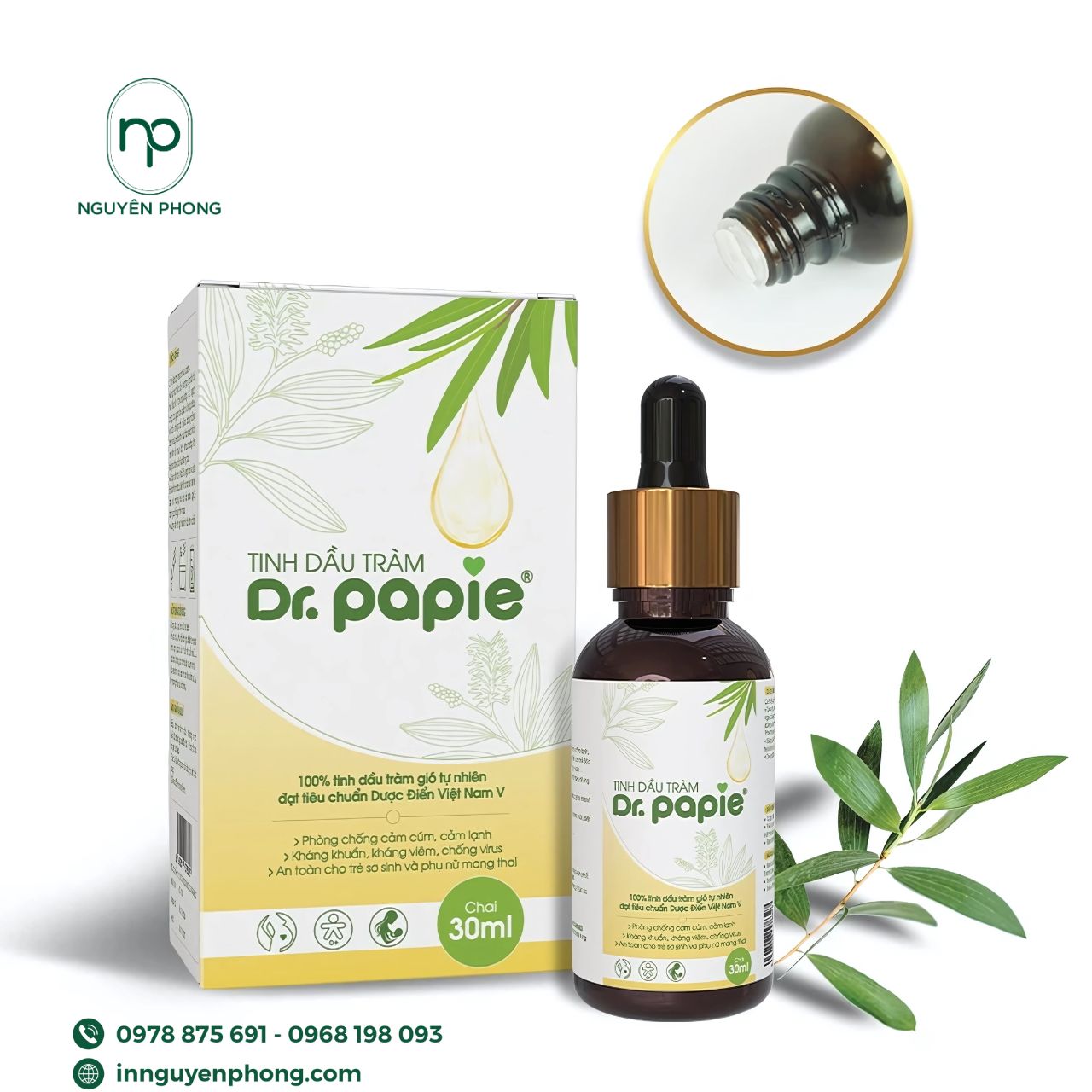 Mẫu hộp đựng tinh dầu